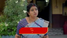 Gunde Ninda Gudi Gantalu S01 E157 Prabavathi Tries to Lure Sushila