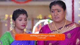 Idhayam S01 E229 20th May 2024