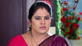 Janaki Ramayya Gari Manavaralu S01 E21 29th May 2024