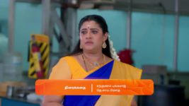 Karthigai Deepam S01 E464 1st May 2024