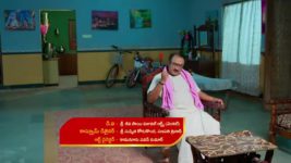 Maamagaru (Star Maa) S01 E205 Vasantha Persuades Chengayya