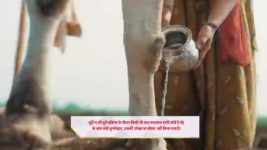 Maati Se Bandhi Dor S01 E01 Meet the Hardworking Vaiju