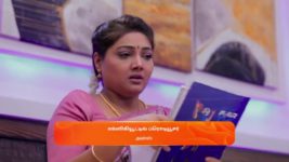 Nala Damayanthi S01 E176 2nd May 2024