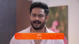 Nala Damayanthi S01 E184 11th May 2024