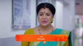 Padamati Sandhyaragam S01 E533 31st May 2024