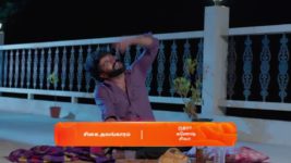 Veera (Zee Tamil) S01 E70 31st May 2024