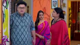 Dhulokona S01 E483 Titir, Lalon to Get Married?