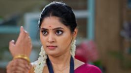 Janaki Ramayya Gari Manavaralu S01 E05 10th May 2024