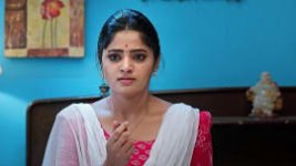 Janaki Ramayya Gari Manavaralu S01 E08 14th May 2024