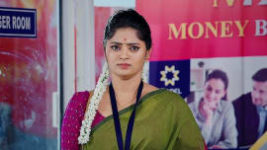 Janaki Ramayya Gari Manavaralu S01 E09 15th May 2024