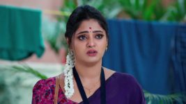 Janaki Ramayya Gari Manavaralu S01 E15 22nd May 2024