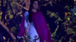 Madhubala Ek Ishq Ek Junoon S01 E212 Madhu quits her job