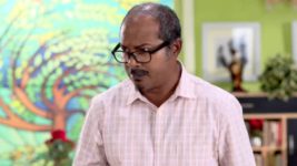 Mayur Pankhee S01E255 Souryadeep to Divorce Tisham? Full Episode