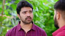 Oohalu Gusagusalade S01E162 13th November 2021 Full Episode