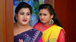 Oohalu Gusagusalade S01E193 20th December 2021 Full Episode