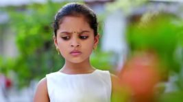 Oohalu Gusagusalade S01E195 22nd December 2021 Full Episode