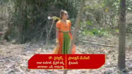 Renuka Yellamma (Star Maa) S01 E371 Renuka Seeks Jamadagni's Aid