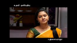 Saravanan Meenatchi S03E41 Tamizh enquires about Saravanan Full Episode