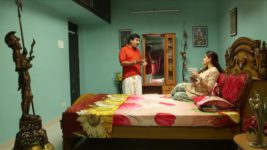 Saravanan Meenatchi S15E43 Veluchami Blesses Meenakshi Full Episode