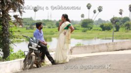 Saravanan Meenatchi S16E06 Pandi's Brilliant Plan Full Episode