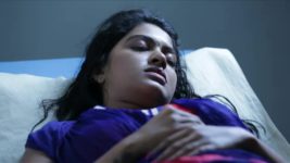 Saravanan Meenatchi S16E17 Meenakshi Is Out Of Danger Full Episode