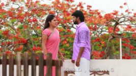 Saravanan Meenatchi S18E104 Saravanan Consoles Meenakshi Full Episode