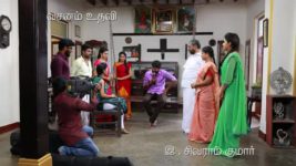 Saravanan Meenatchi S18E115 Saravanan Provokes Muthazhagu Full Episode