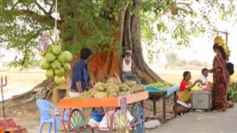 Saravanan Meenatchi S18E13 Saravanan Sells Coconut Water Full Episode