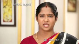 Saravanan Meenatchi S18E14 Muthazhagu Challenges Meenakshi Full Episode