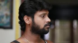 Saravanan Meenatchi S18E148 Saravanan Questions Meenakshi Full Episode