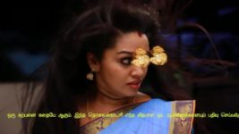 Saravanan Meenatchi S18E163 Saravanan Hides the Truth Full Episode