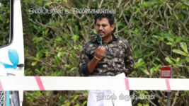 Saravanan Meenatchi S18E203 Saravanan, Family Meet Tatha Full Episode