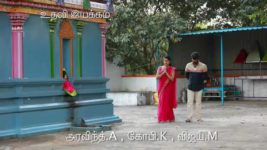 Saravanan Meenatchi S18E260 Radhika Returns! Full Episode