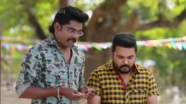 Saravanan Meenatchi S18E265 Sankara Pandi is Ecstatic Full Episode