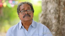 Saravanan Meenatchi S18E275 Saravanan Vs Sankara Pandi Full Episode