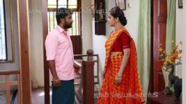 Saravanan Meenatchi S18E280 Sankara Pandi Forgives Saravanan Full Episode