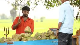 Saravanan Meenatchi S18E33 Muthazhagu Is Smitten By Pandi Full Episode