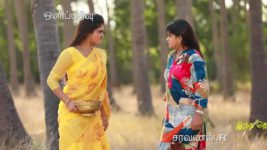 Saravanan Meenatchi S18E332 Vedavalli's Dark Tale Full Episode