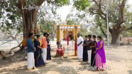 Saravanan Meenatchi S18E50 Sage Rebukes Veluchami's Family Full Episode