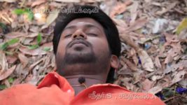 Saravanan Meenatchi S18E51 Meenakshi's Hunt For Flowers? Full Episode