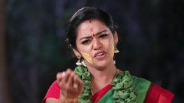 Saravanan Meenatchi S18E57 Veluchami Insults Meenakshi Full Episode