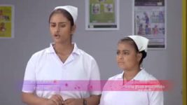 Sona Roder Gan S01 E291 12th November 2022