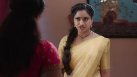 Trinayani (Kannada) S01E276 25th December 2021 Full Episode