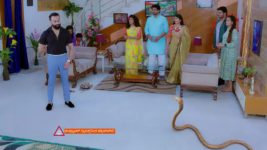 Trinayani (Kannada) S01E550 24th October 2022 Full Episode