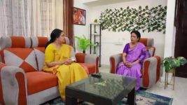 Baakiyalakshmi S01 E1127 Gopinath Slams Radhika