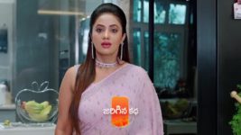 Jagadhatri (zee telugu) S01 E254 11th June 2024