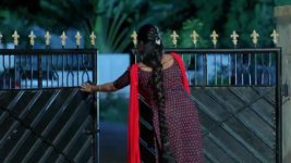 Janaki Ramayya Gari Manavaralu S01 E48 29th June 2024