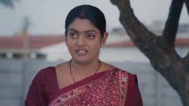 Karthika Deepam S02 E81 All Well Between Karthik-Deepa