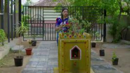Krishna Mukunda Murari S01 E487 Bhavani Queries About Mukunda