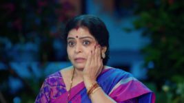 Maa Annaya (Zee Telugu) S01 E76 20th June 2024